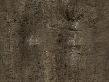 bark texture (ID:ffabf1511)