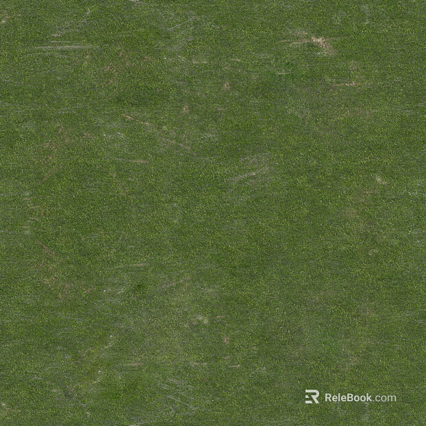 ground grassland mountain grassland texture