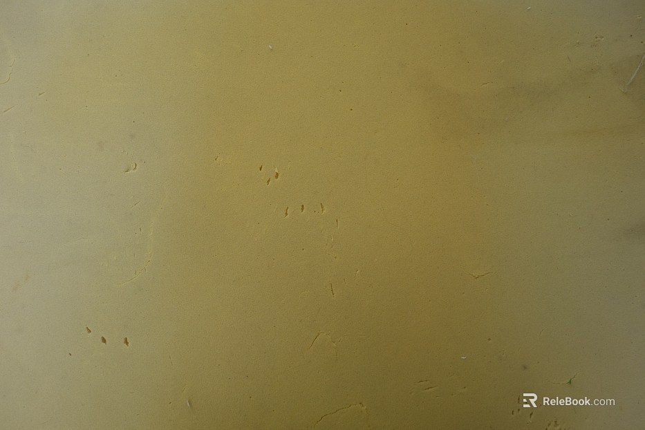 Sponge texture