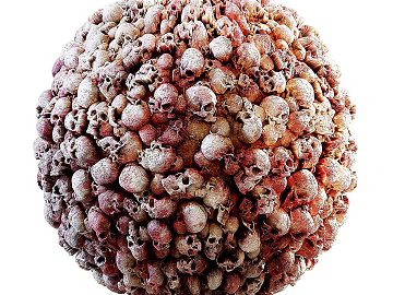 Skull PBR texture (ID:ffach054994)