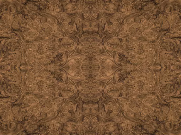 Dark brown nodule wood veneer background wall panel 3d model
