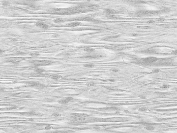 Black and White Bump texture (ID:ffaag78329)