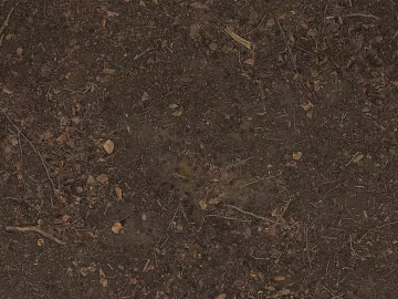 Ground 3d model