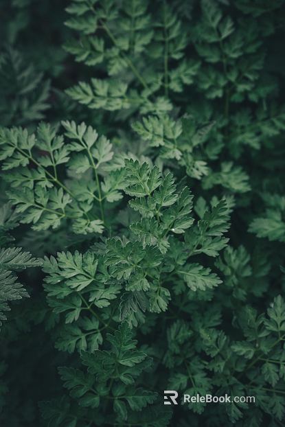 Plant painting texture