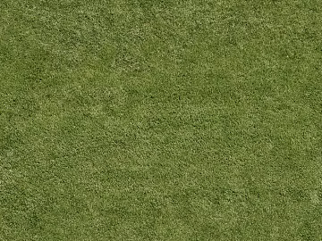 Turf texture (ID:ffadf8196)
