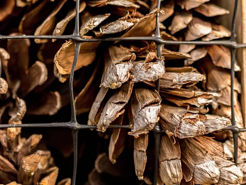 Wood Coffee Wood texture (ID:ffagg75823)