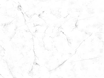 Plain Tile 3d model