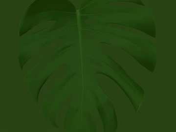 leaves 3d model