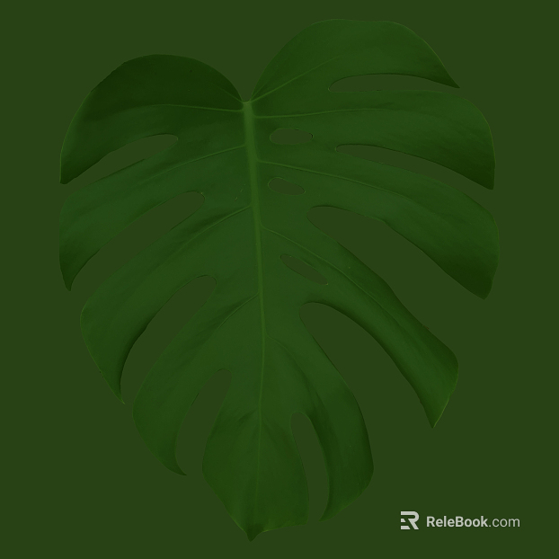 leaves texture