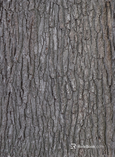 bark texture