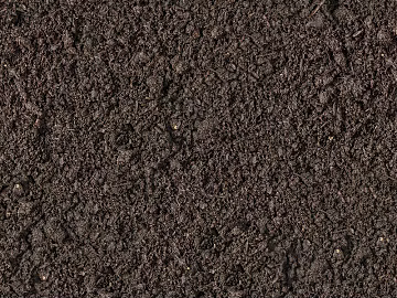 Ground texture (ID:ffacg86950)