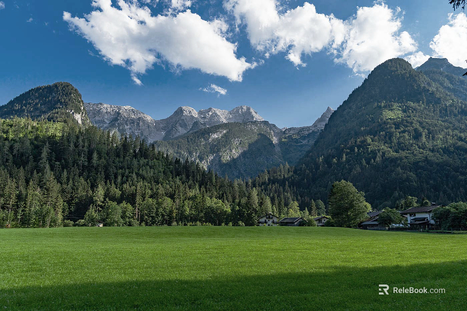 Wild Scenery texture