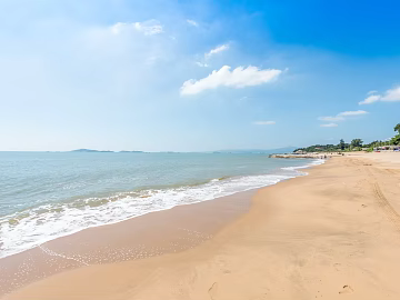 Wild Scenery texture (ID:ffaeg03711)