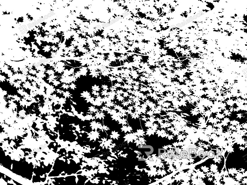 black and white tree shadow texture