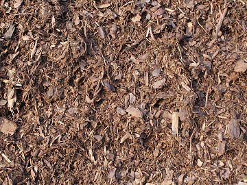 Turf texture (ID:ffaeg56573)