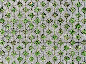 grass-planting brick texture (ID:ffach116290)