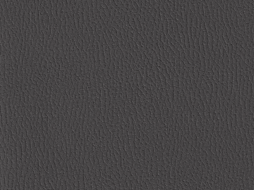 fine grain leather 3d model
