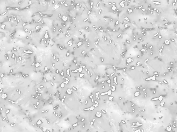 Light gray terrazzo floor wall texture (ID:ffaeh369716)