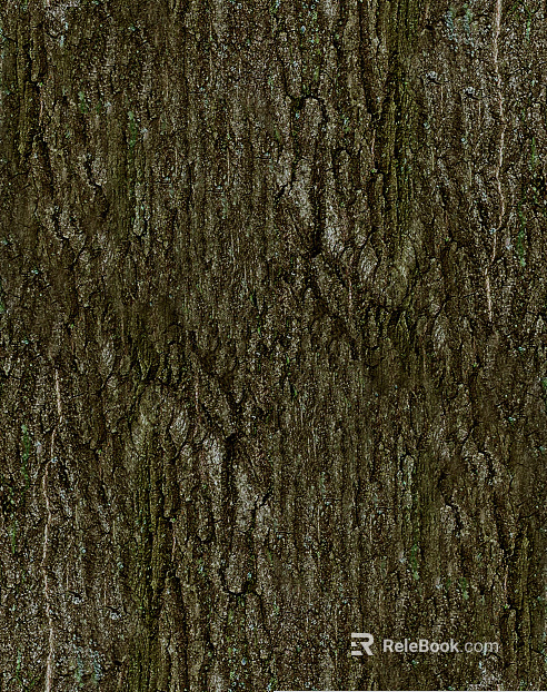 ancient tree bark texture