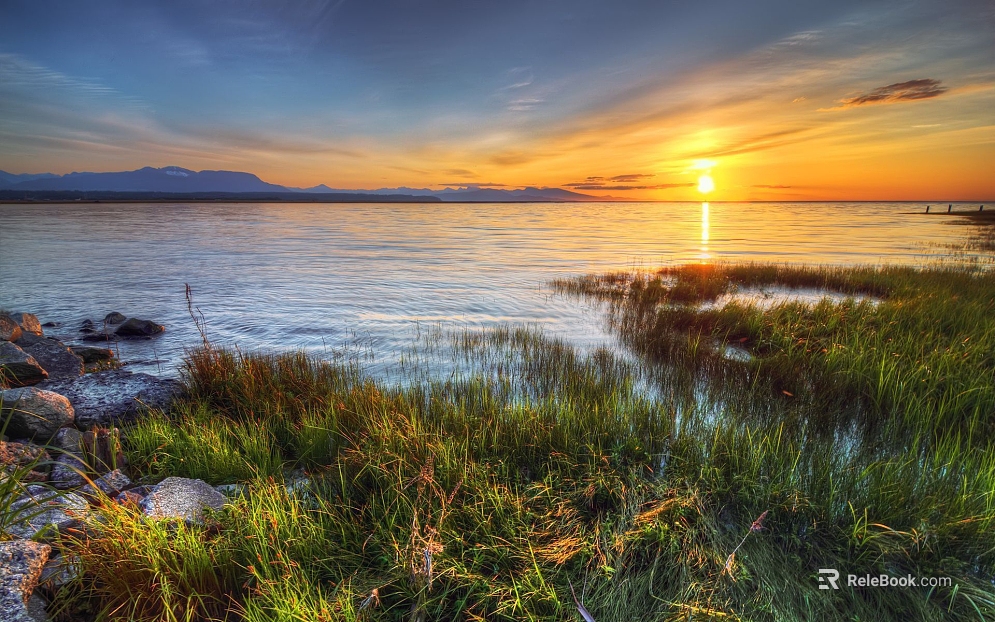 Wild Scenery texture