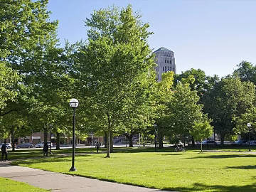 Park Exterior texture (ID:ffacg48538)
