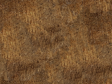 Thatched roof texture (ID:ffacg16971)