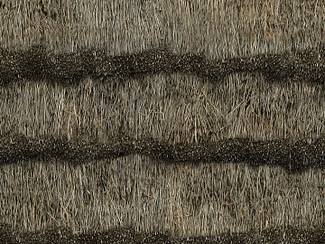 Thatched roof texture (ID:ffaag25061)