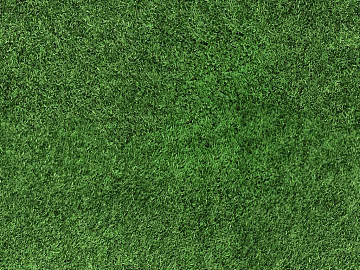 Turf texture (ID:ffajf6566)