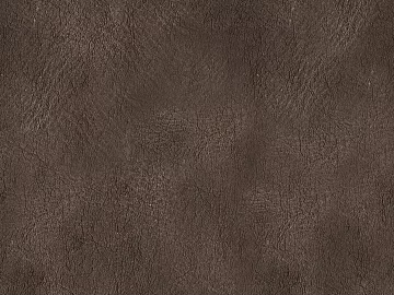 Coarse-grain leather texture (ID:ffacg72250)