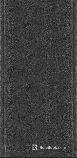 Belt texture