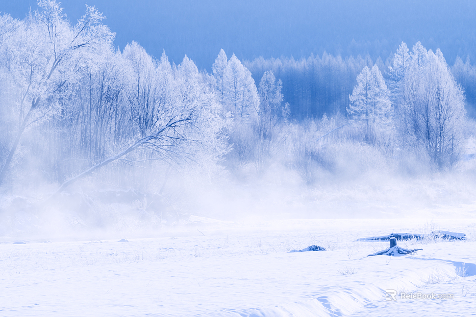 Winter with snow texture