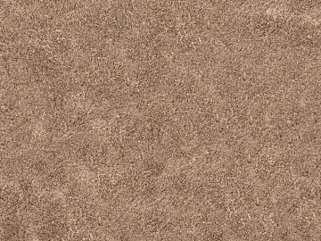 Mud texture (ID:ffaeg50861)