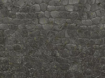Stone Paving texture (ID:ffajg55843)
