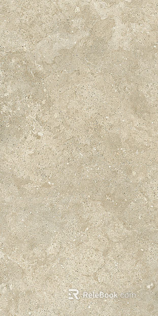 Lyme Stone Jinyi Tao Lyme Stone texture