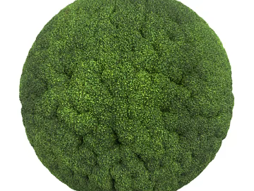 Turf PBR texture (ID:ffach417181)
