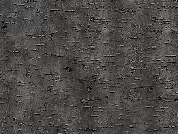 Black and White Bump texture (ID:ffaeg82651)