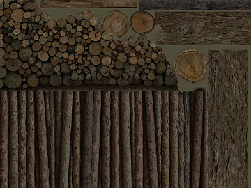 Trunk texture (ID:ffagg45030)