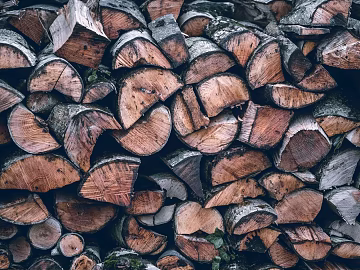 Trunk section texture (ID:ffagg65243)