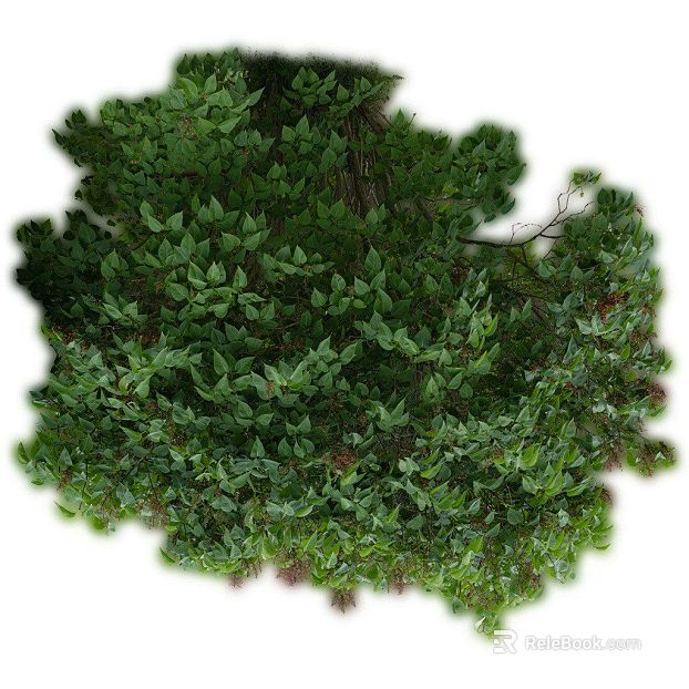 Green outdoor bushes landscaping texture