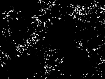 Highlight Mask texture (ID:ffaeg89316)