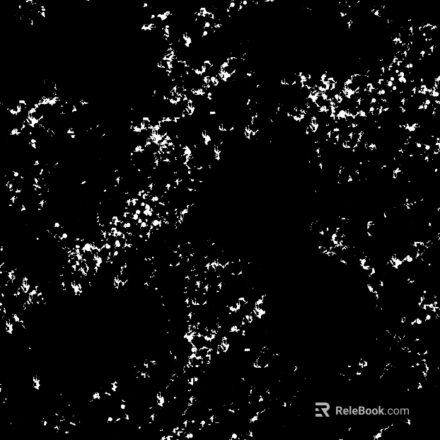 Highlight Mask texture