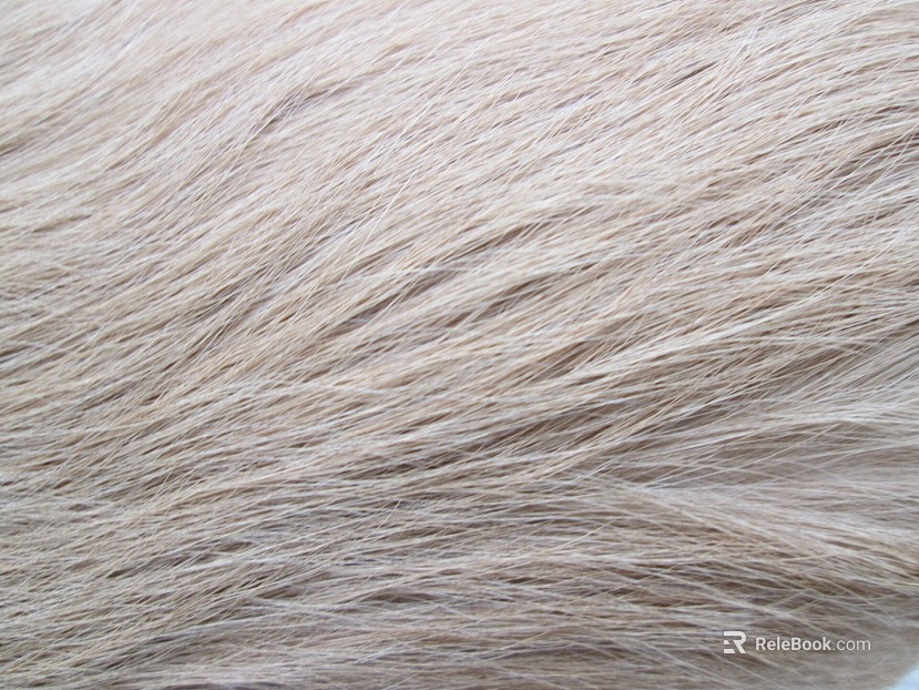 animal fur texture