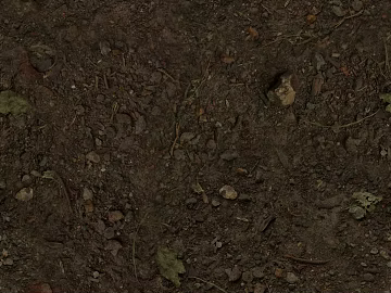 Mud texture (ID:ffach961035)