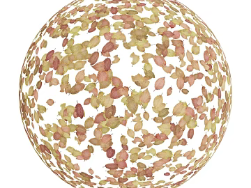 Leaf PBR texture (ID:ffach492481)