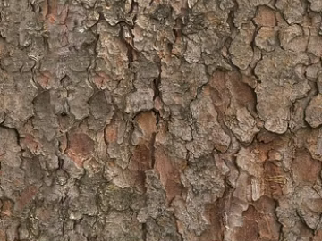 Taupe Bark Natural Decoration Map texture (ID:ffaeh197882)