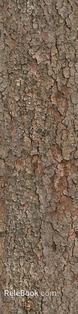 Taupe Bark Natural Decoration Map texture