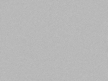 Coarse-grain leather 3d model