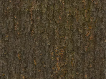 bark texture (ID:ffagg65365)