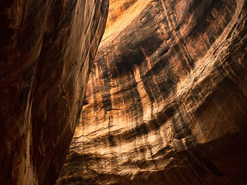 Wild Scenery texture (ID:ffaeg50097)