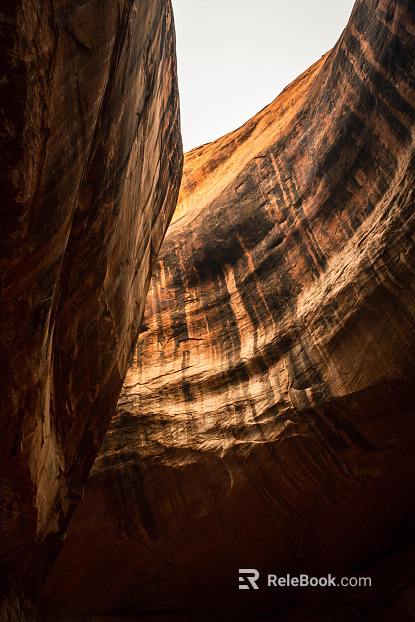 Wild Scenery texture